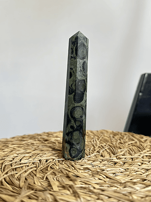 Jaspe Cocodrilo en obelisco #2