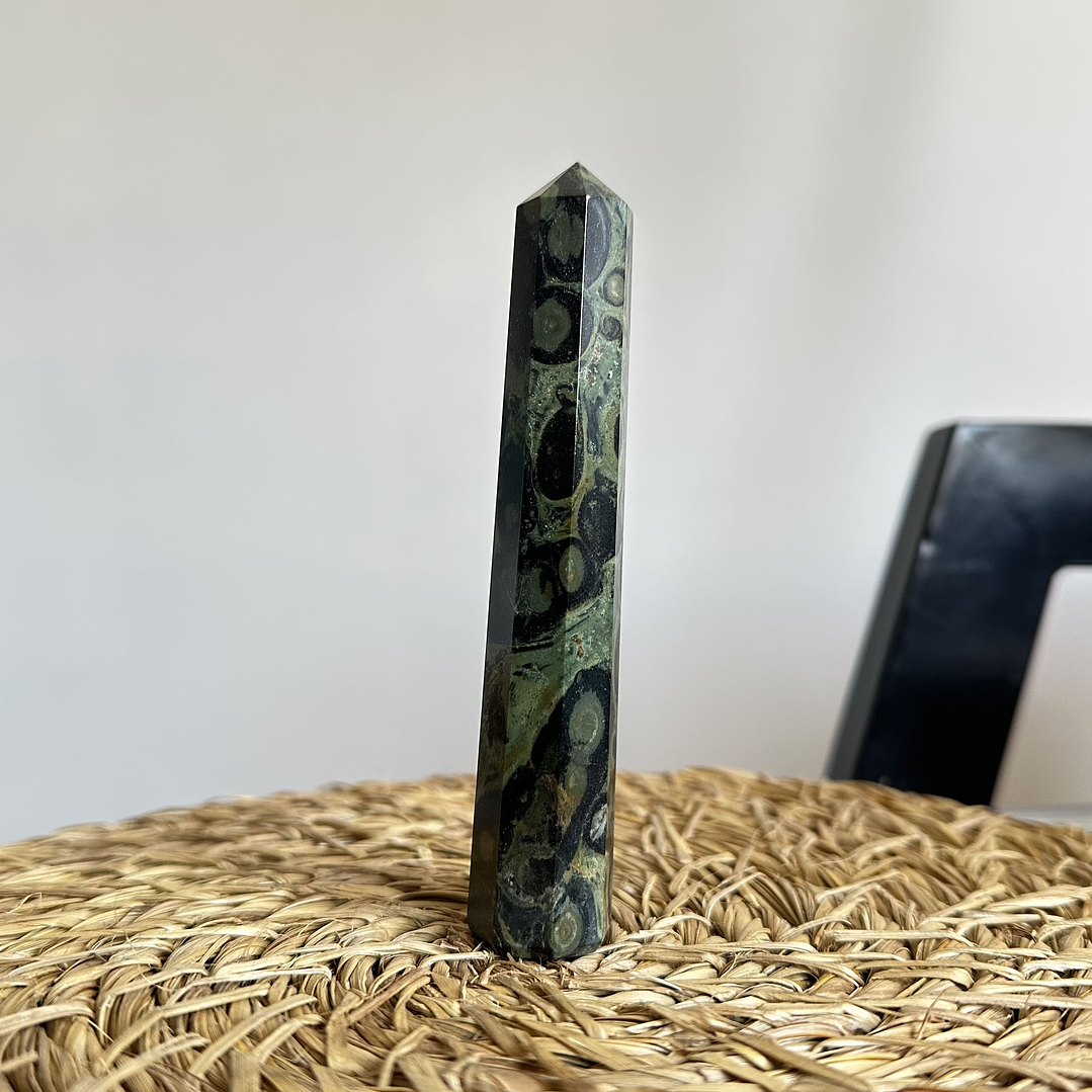 Jaspe Cocodrilo en obelisco #2 2