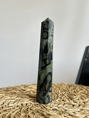 Jaspe Cocodrilo en obelisco #2