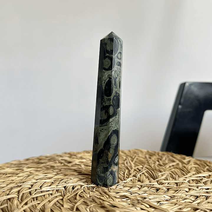 Jaspe Cocodrilo en obelisco #2 2