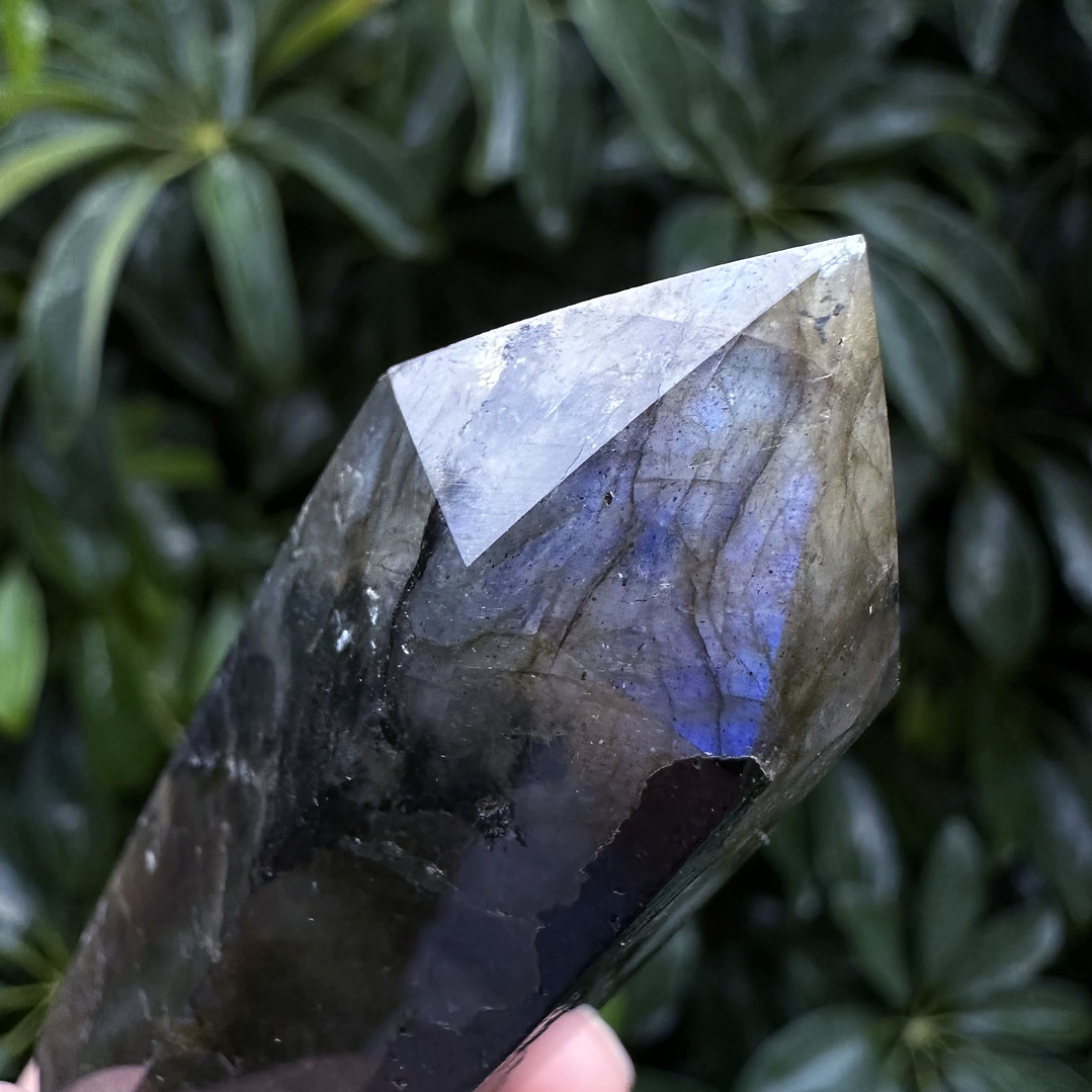 Labradorita en obelisco #5 4