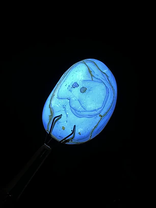 Ámbar con insecto #31