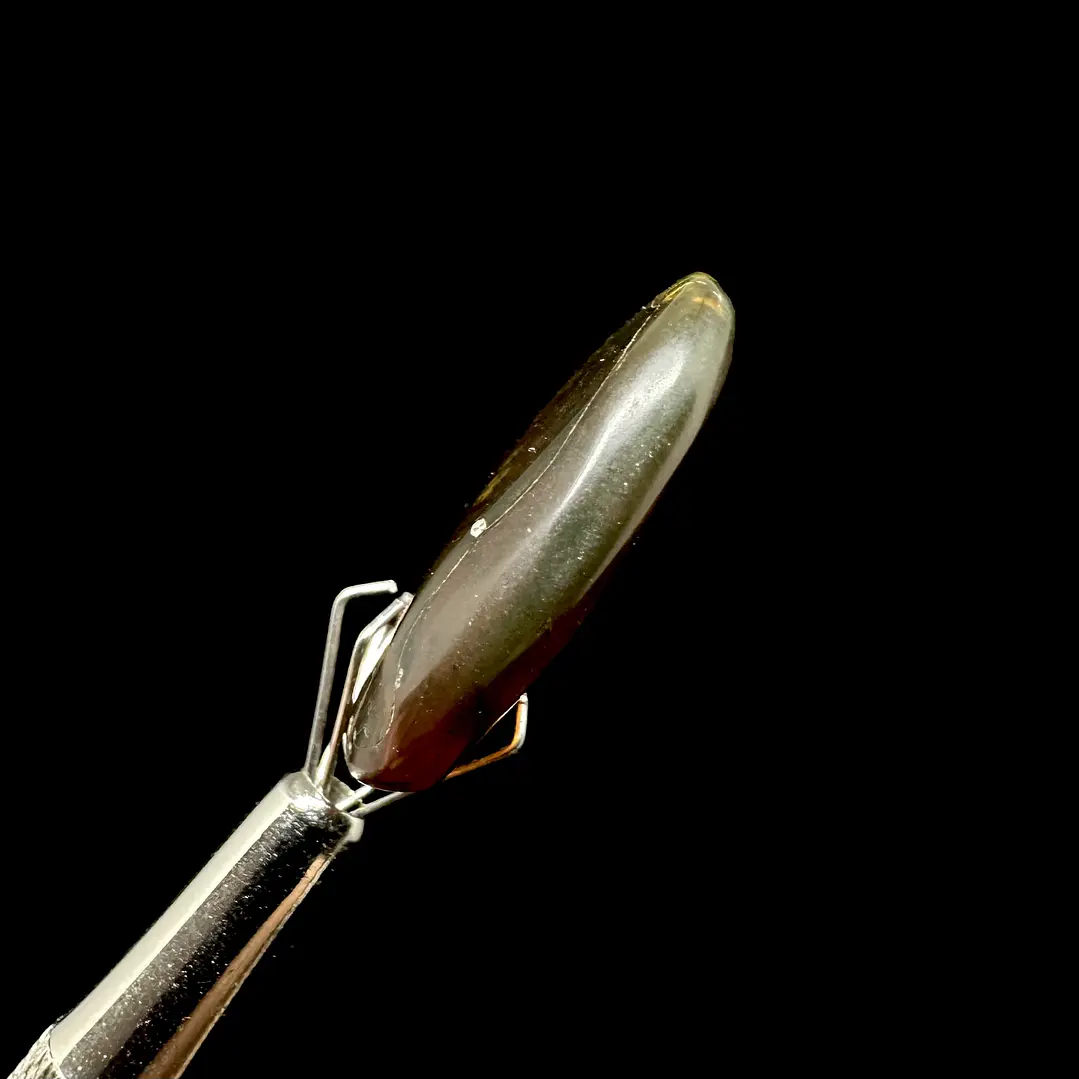 Ámbar con insecto #31 8