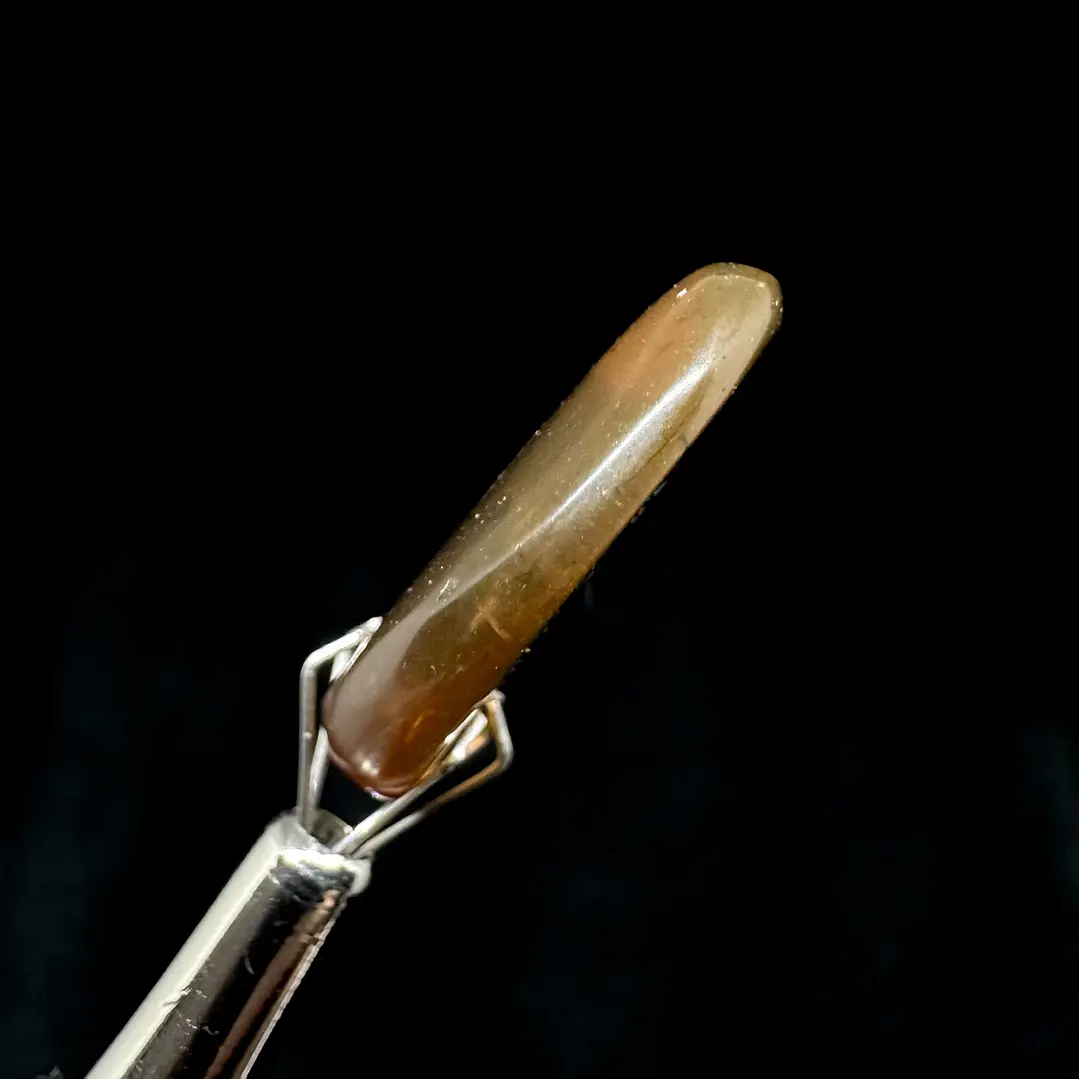 Ámbar con insecto #32 5