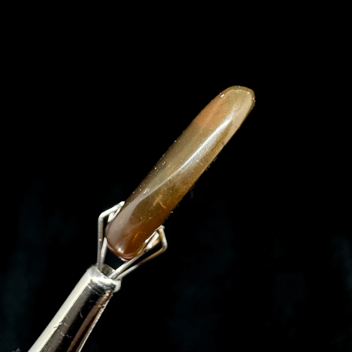 Ámbar con insecto #32 5