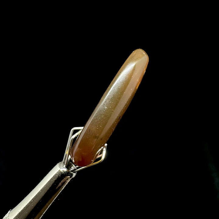 Ámbar con insecto #32 7
