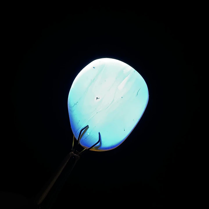 Ámbar con insecto #32 3