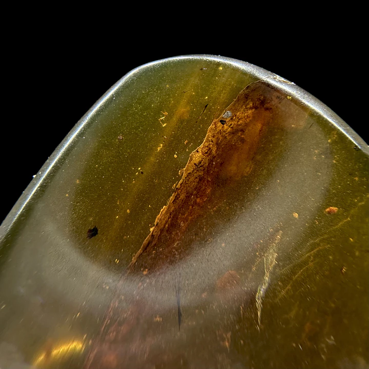 Ámbar con insecto #32 4