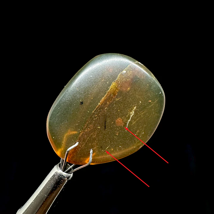 Ámbar con insecto #32 1