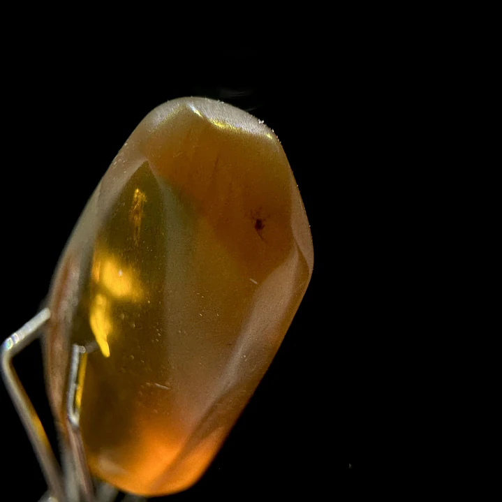 Ámbar con insecto #33 5