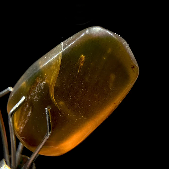 Ámbar con insecto #33 2
