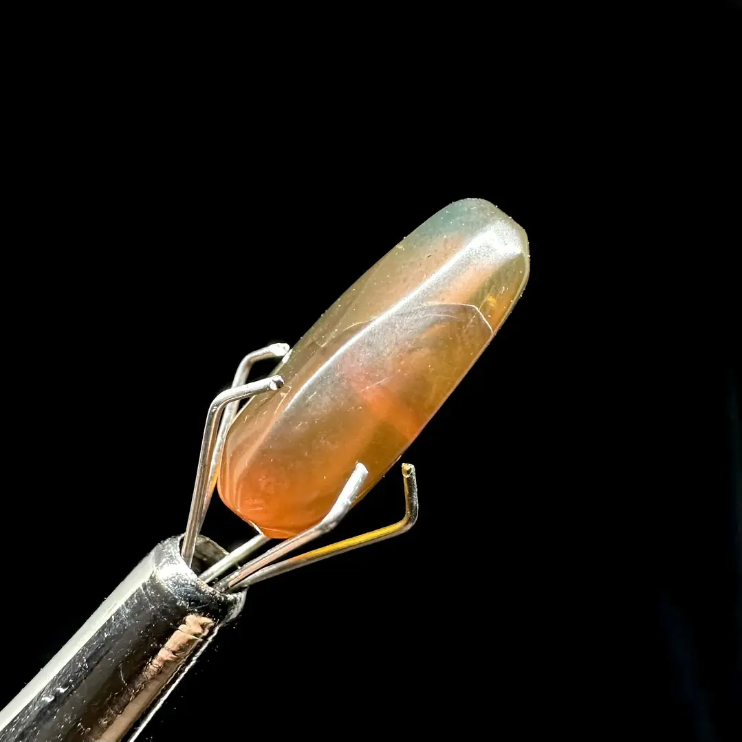 Ámbar con insecto #33 6