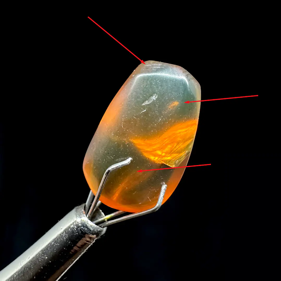 Ámbar con insecto #33 1