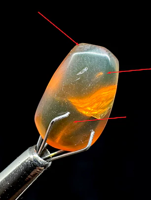 Ámbar con insecto #33