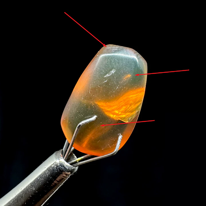 Ámbar con insecto #33 1