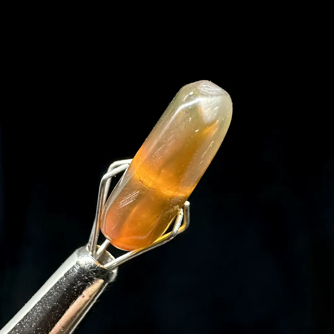 Ámbar con insecto #33 8
