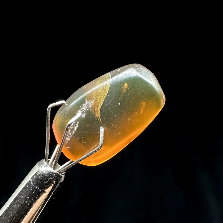 Ámbar con insecto #33 7