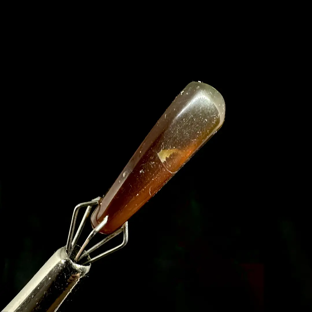 Ámbar con insecto #35 5