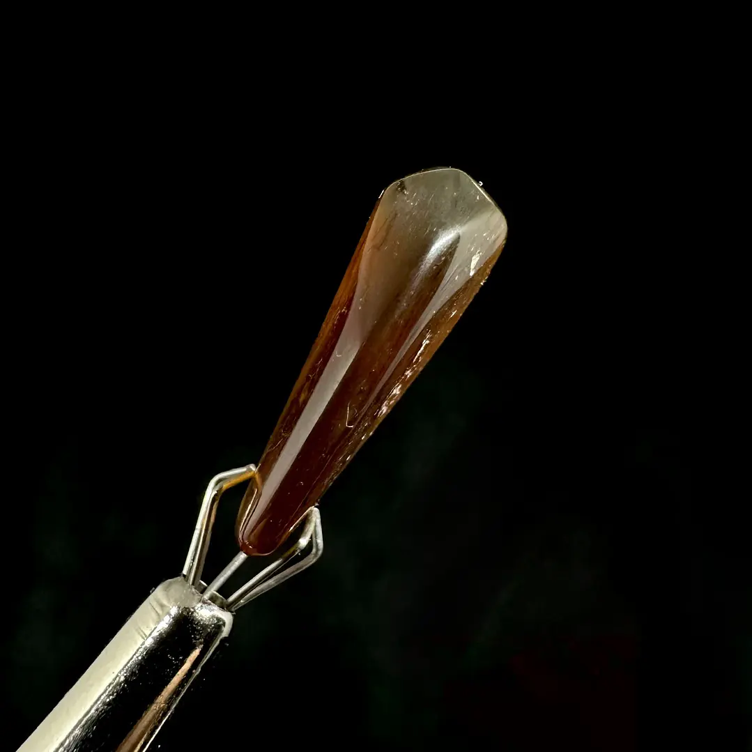 Ámbar con insecto #35 7