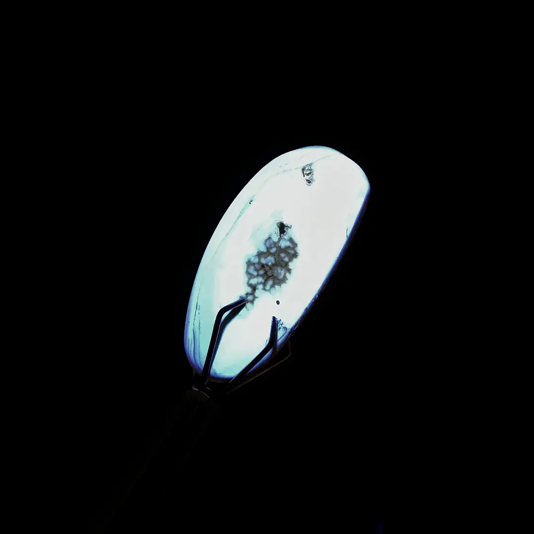 Ámbar con insecto #35 3