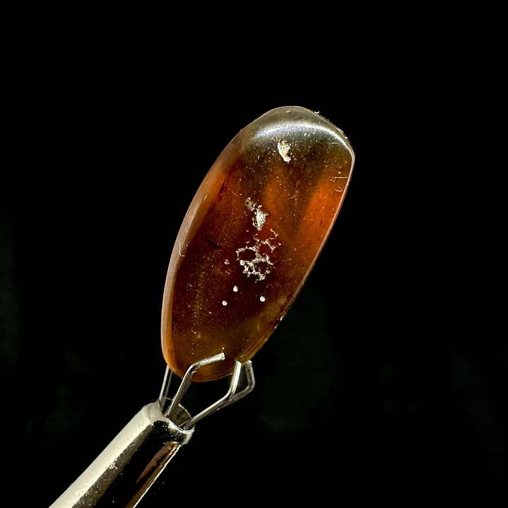 Ámbar con insecto #35 6