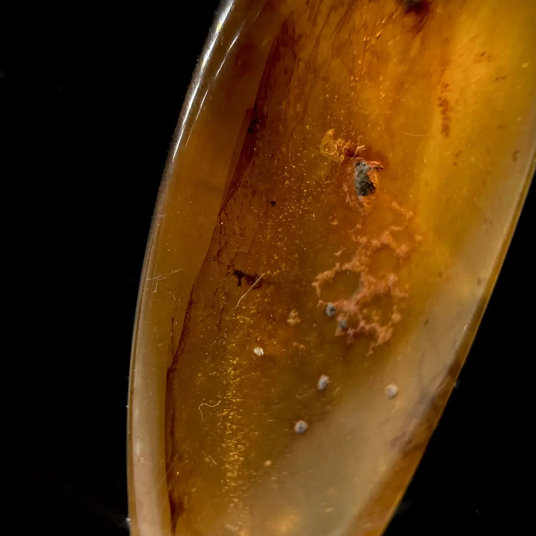 Ámbar con insecto #35 4