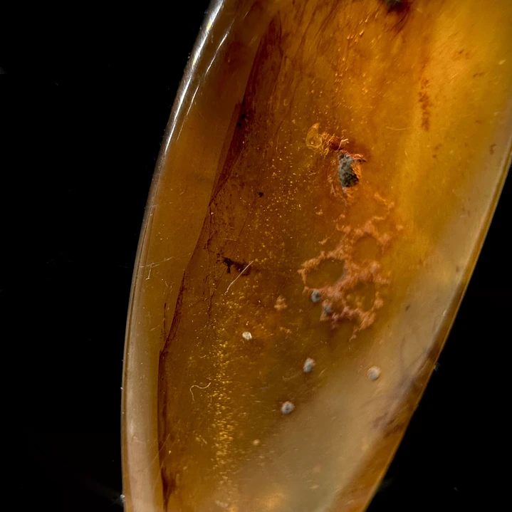 Ámbar con insecto #35 4