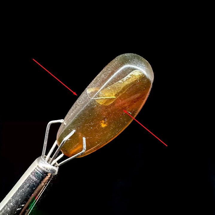 Ámbar con insecto #35 1