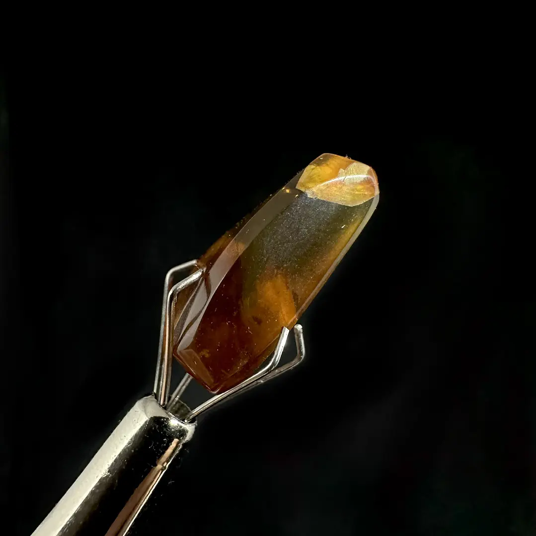 Ámbar con insecto #36 5