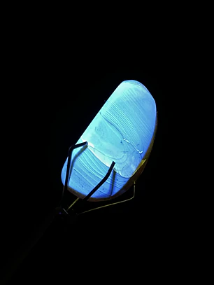 Ámbar con insecto #36