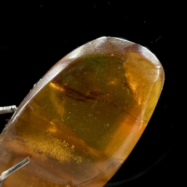 Ámbar con insecto #36 4