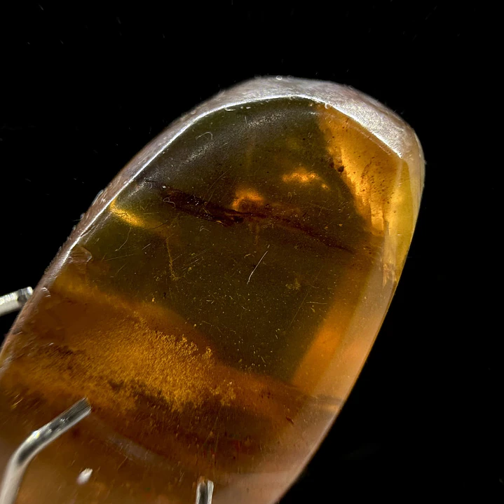 Ámbar con insecto #36 3