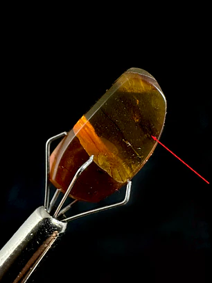 Ámbar con insecto #36