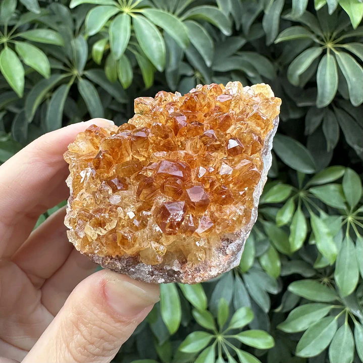 Drusa de Citrino #3 1