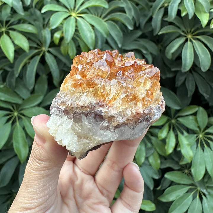 Drusa de Citrino #3 5