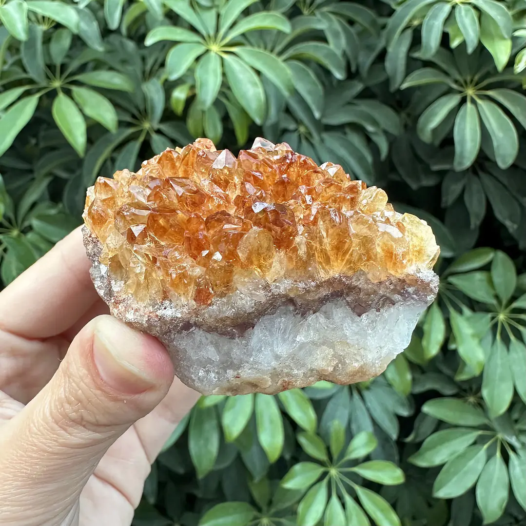 Drusa de Citrino #3 6