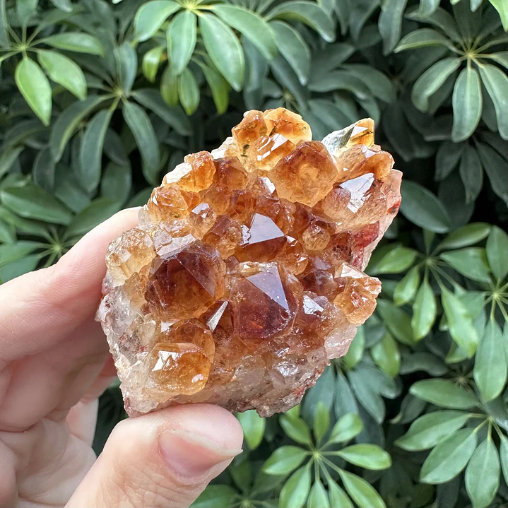 Drusa de Citrino #4 1