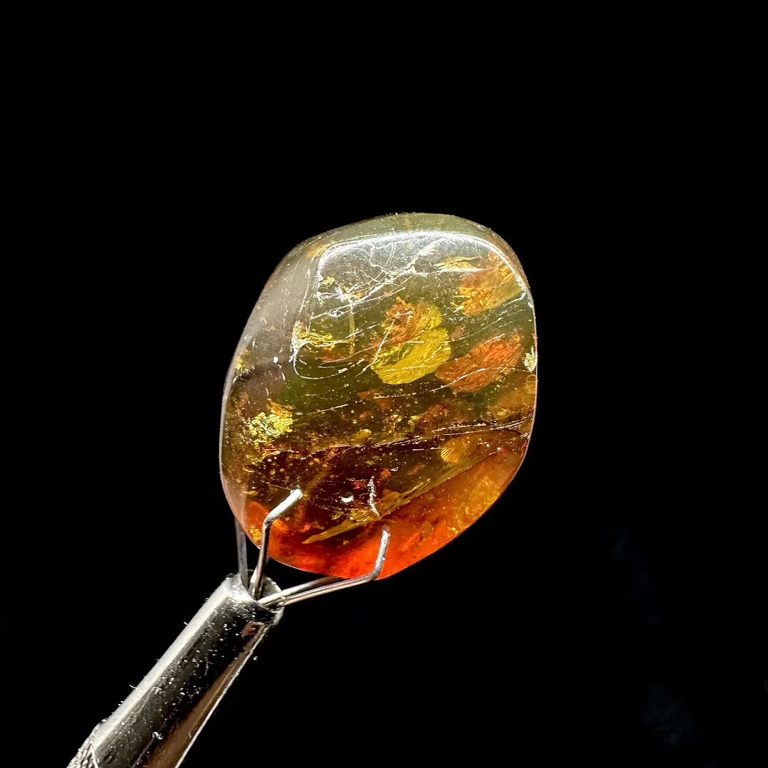 Ámbar con insecto #37 6