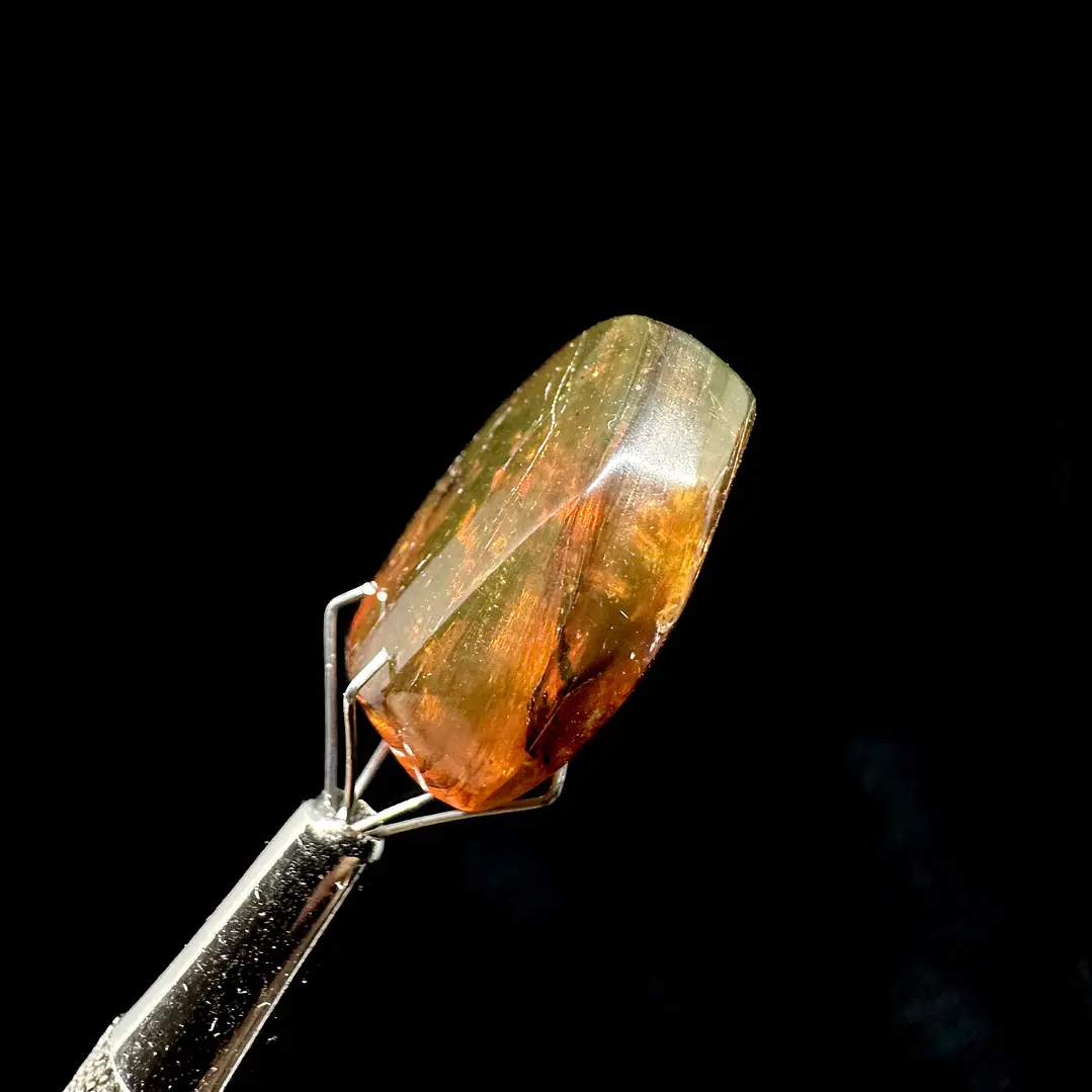 Ámbar con insecto #37 7