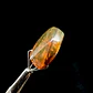 Ámbar con insecto #37 - Miniatura 7