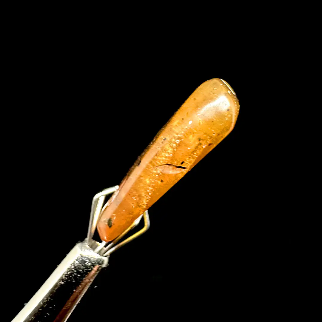 Ámbar con insecto #38 10
