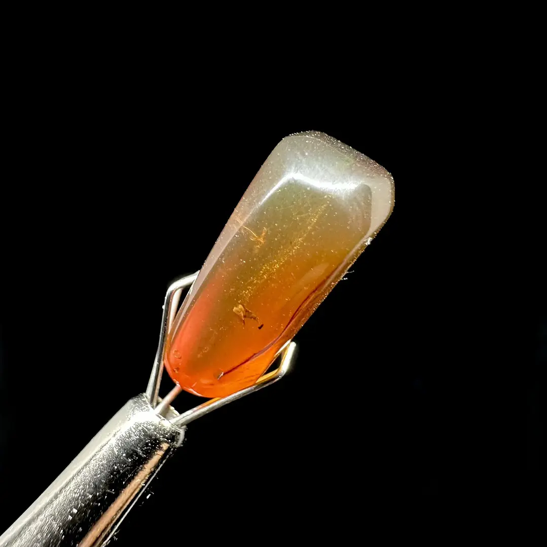 Ámbar con insecto #39 4