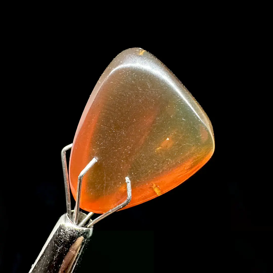 Ámbar con insecto #39 5