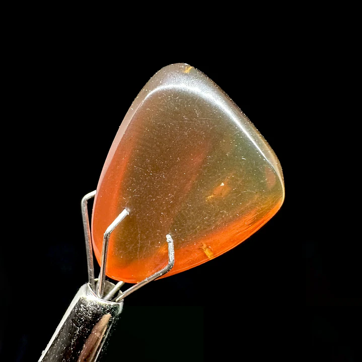 Ámbar con insecto #39 5