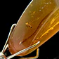 Ámbar con insecto #39 - Miniatura 2
