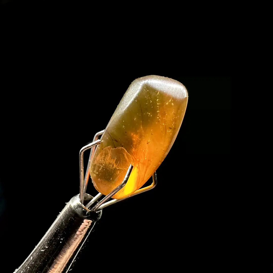 Ámbar con insecto #40 7