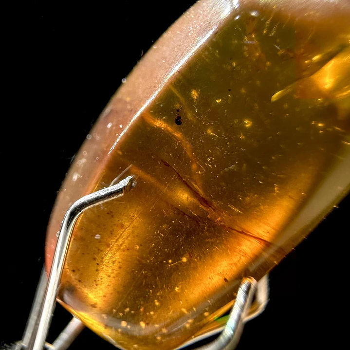 Ámbar con insecto #40 3