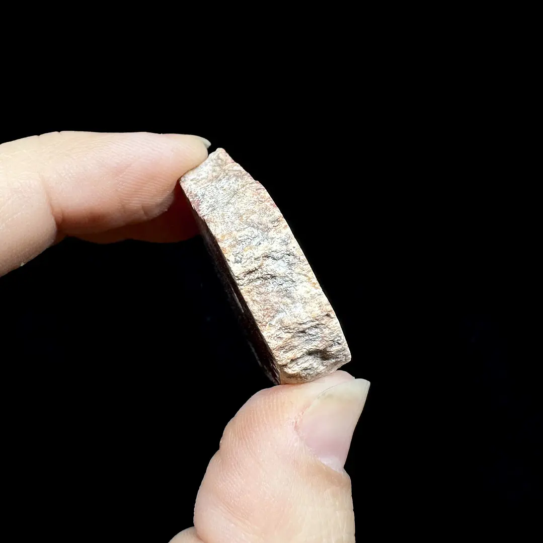 Fósil de Madera #7 4