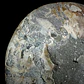 Par Fósiles de Ammonite opalescente #26 - Miniatura 4