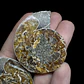 Par Fósiles de Ammonite opalescente #28 - Miniatura 2